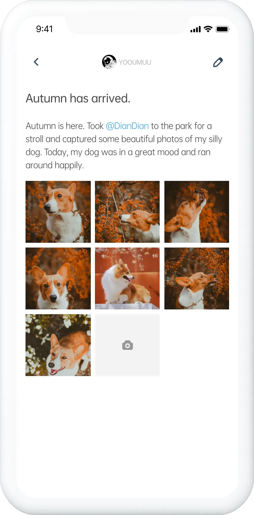 PawsomeCare app prototype.