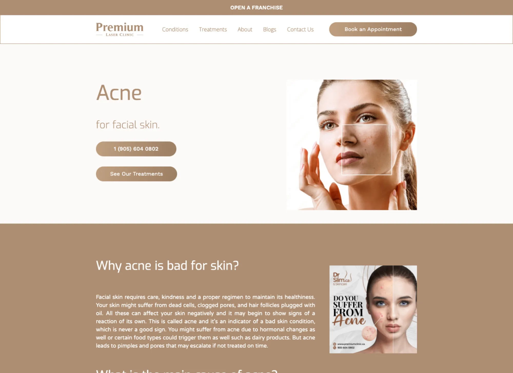 Client Project web development screenshot.
